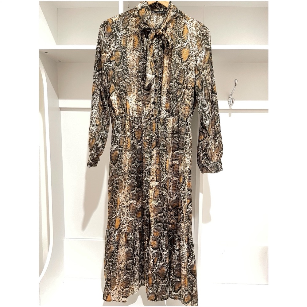 Zara Midi Print Dress
